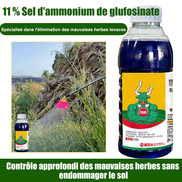 Herbicide Glufosinate à haute concentration -GN